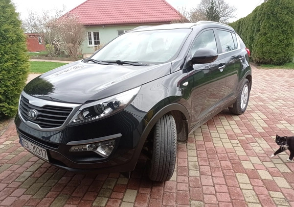 Kia Sportage cena 52000 przebieg: 59500, rok produkcji 2012 z Sławno małe 29